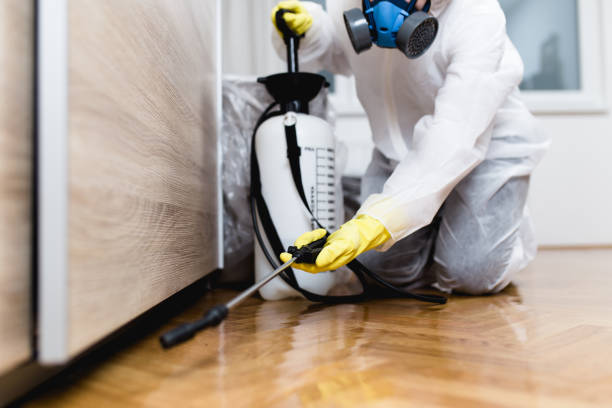 Best Emergency Pest Control  in Fremont, MI