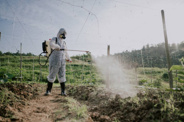 Best Pest Control for Homes  in Fremont, MI