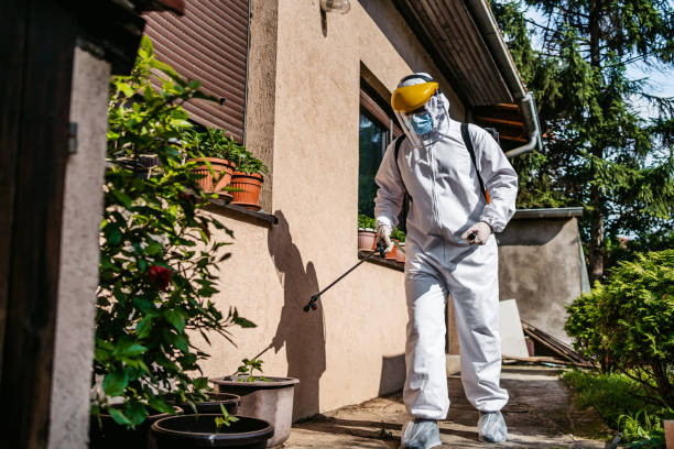 Best Pest Control for Businesses  in Fremont, MI