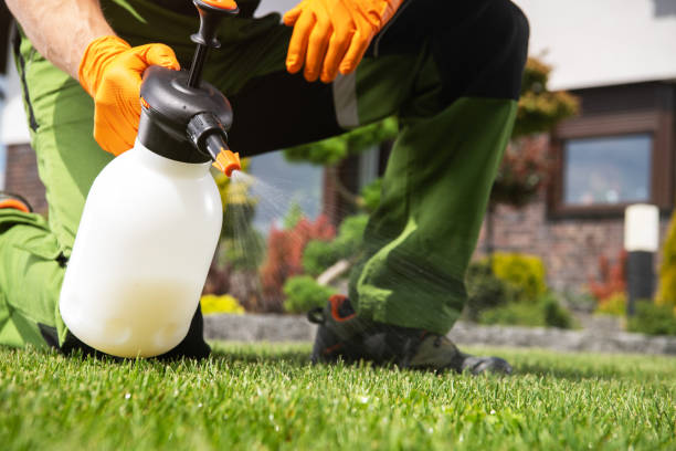 Best Rat Extermination Near Me  in Fremont, MI