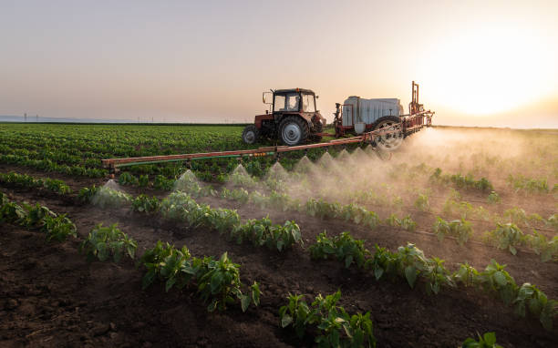 Professional Pest Control in Fremont, MI