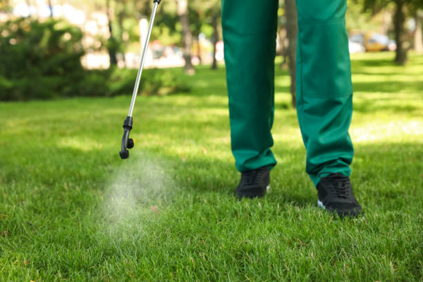 Best Wasp Removal Services  in Fremont, MI