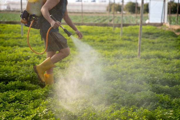 Best Residential Pest Control  in Fremont, MI