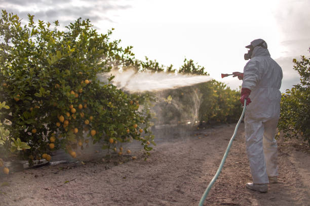  Fremont, MI Pest Control Pros