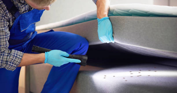Best Insect Control  in Fremont, MI