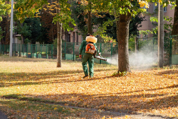 Best Rodent Control Near Me  in Fremont, MI