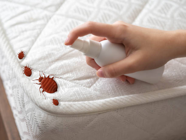 Best Insect Control  in Fremont, MI