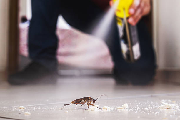 Best Exterminator Services  in Fremont, MI