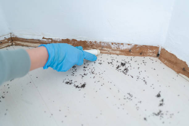 Best Pest Prevention Services  in Fremont, MI