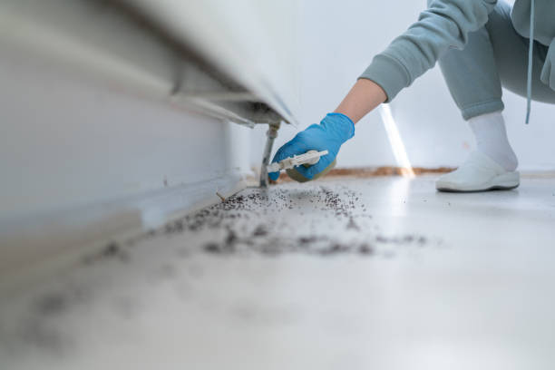Best Commercial Pest Control Services  in Fremont, MI
